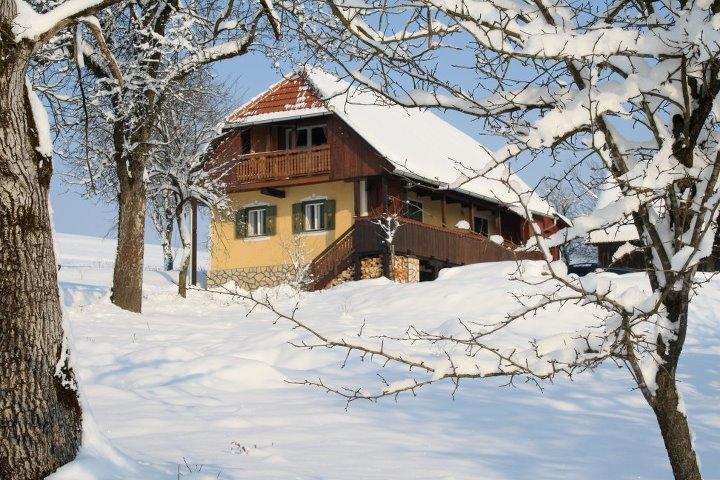 Country House Novosel Duga Resa Εξωτερικό φωτογραφία